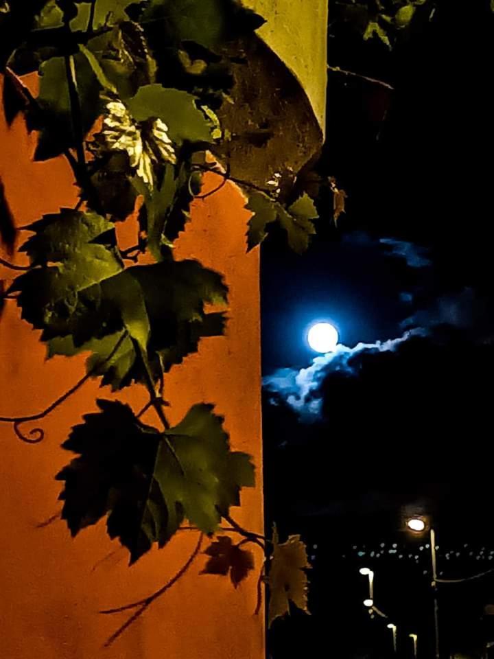 B&B Vigna Grande Agropoli Exterior photo